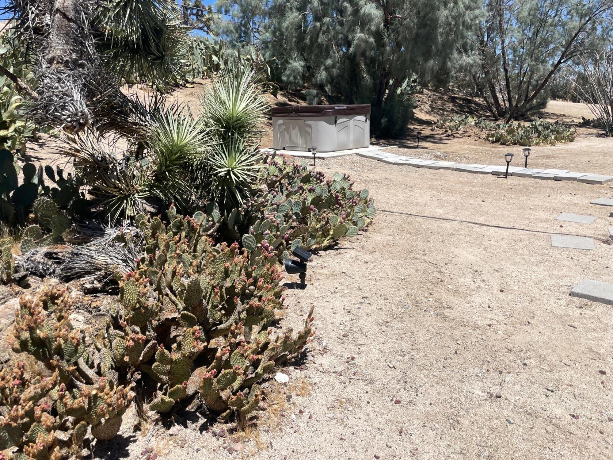 Mojave Desert Pied-a-terre Holiday home *